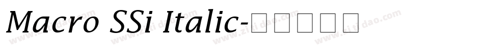 Macro SSi Italic字体转换
